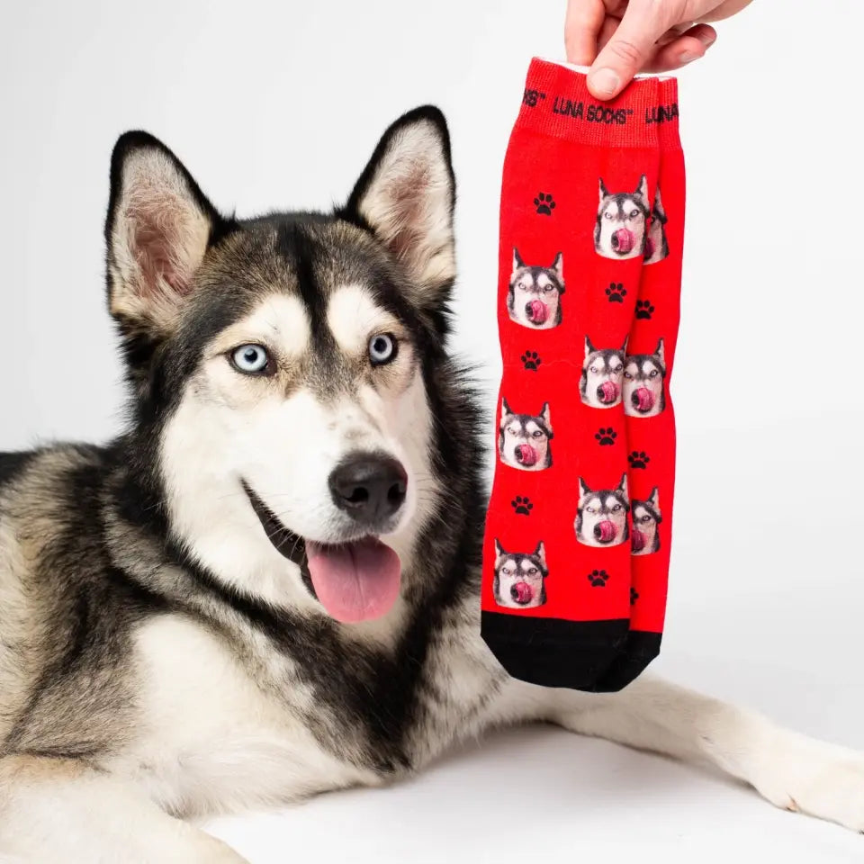 Calcetines personalizados con tu perro