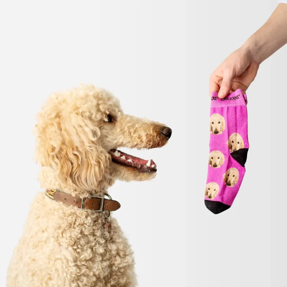 Calcetines personalizados con tu perro