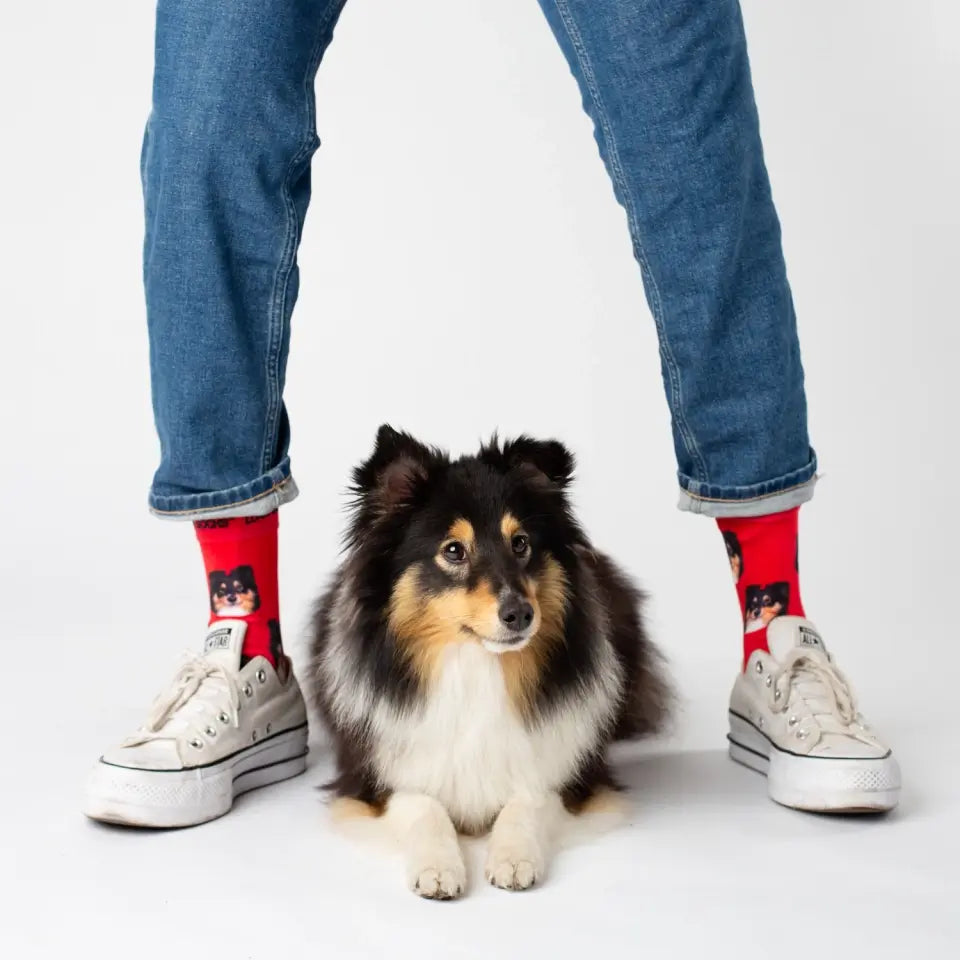 Calcetines personalizados con tu perro