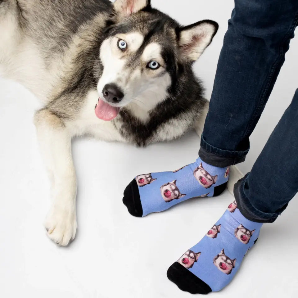 Calcetines personalizados con tu perro