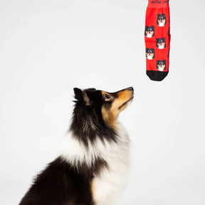 Calcetines personalizados con tu perro